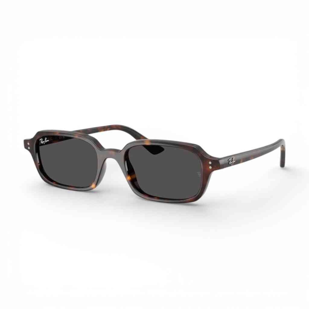 Óculos de Sol Ray-Ban RB445513598752